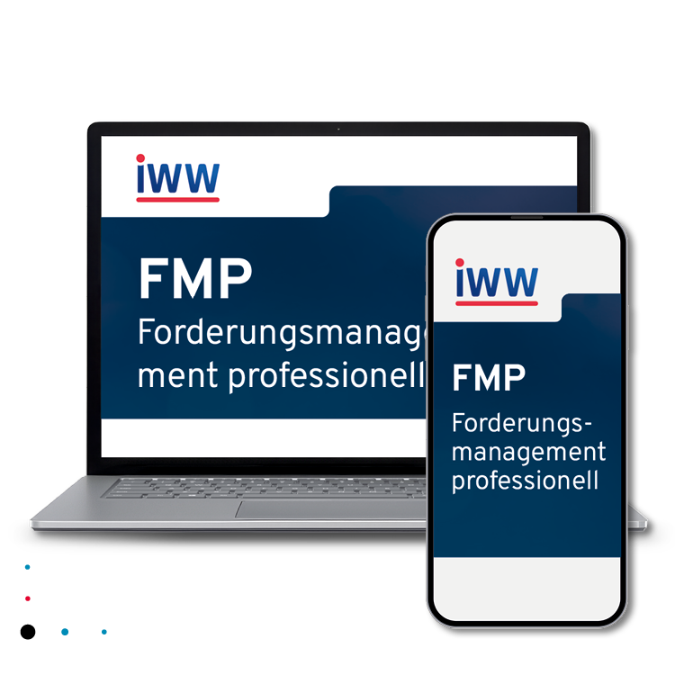 FMP Forderungsmanagement professionell