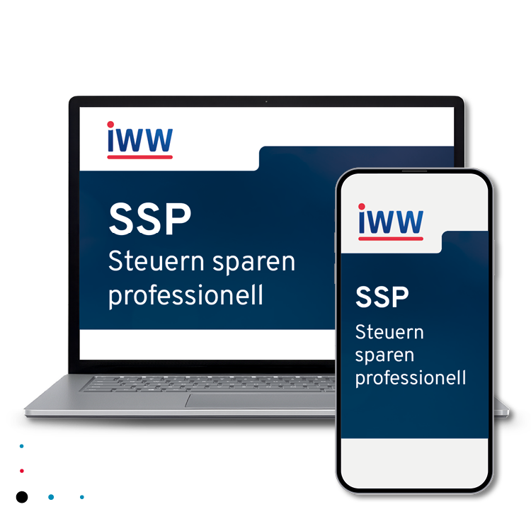 SSP Steuern sparen professionell