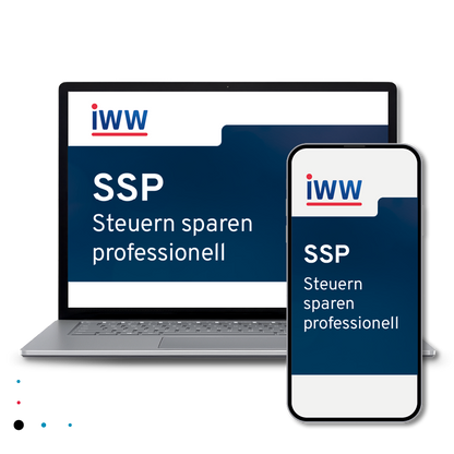 SSP Steuern sparen professionell