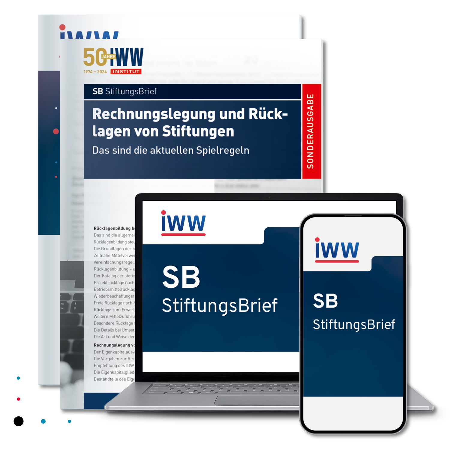 SB StiftungsBrief + Sonderausgabe Rechnungslegung und Rücklagen von Stiftungen