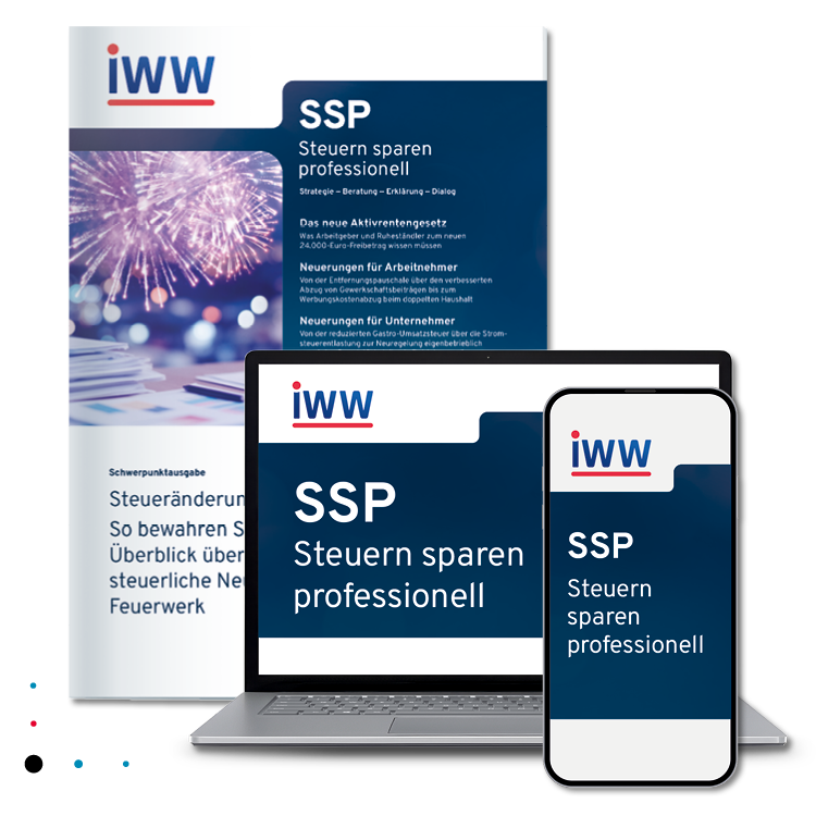SSP Steuern sparen professionell