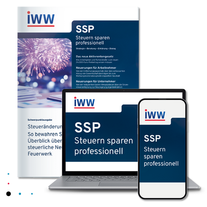 SSP Steuern sparen professionell