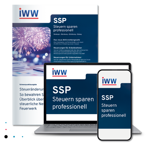 SSP Steuern sparen professionell